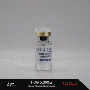 Syn Pharma HCG 5000 iu